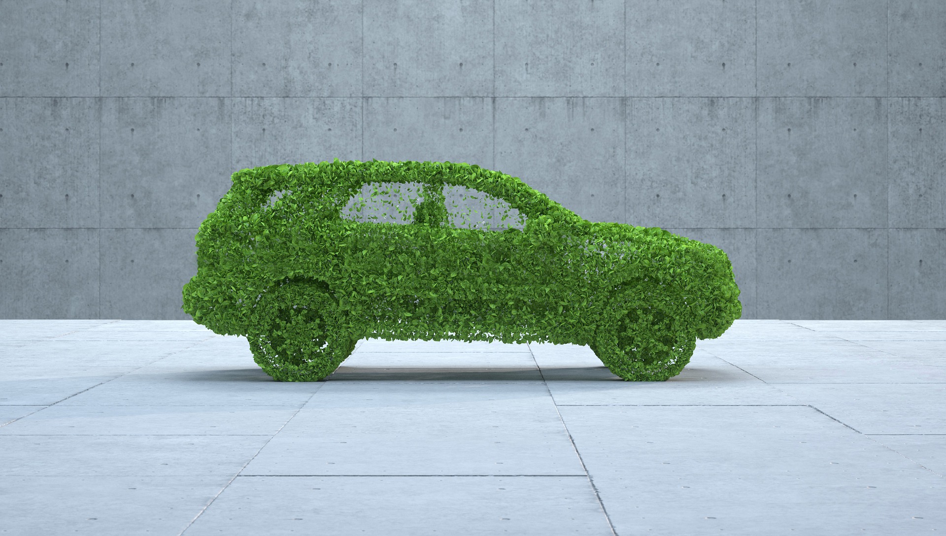 auto di foglie.jpg